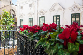 Gioeni Suites Charming Loft