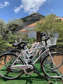 Il Giardino di Venere