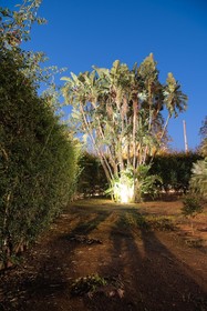 Il Giardino di Venere