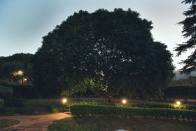 Il Giardino di Venere