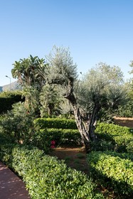Il Giardino di Venere
