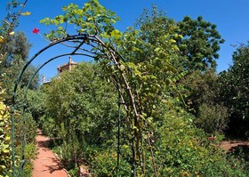 Il Glicine - La Piana dei Colli
