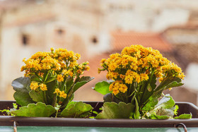 Il Palchetto B&B Di Charme E Design
