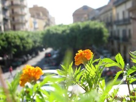 La Casa di Marzapane Bed & Breakfast