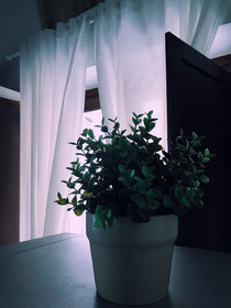 Le Quattro Chiavi