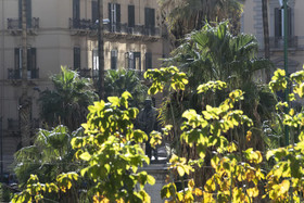 Principe di Belmonte