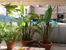Suite La Magione