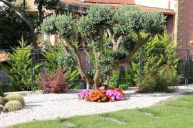Villa Maruzza