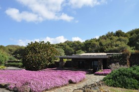 Relais Euterpini