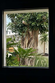 Sikelia Pantelleria