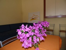 Medimare Residence Club