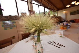 B&B Giucalem