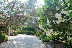 B&B Villa Bentivoglio