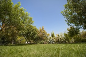 Casa Anticamenta