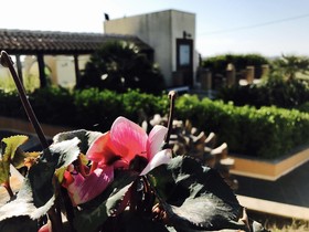 Domus Aurea Resort