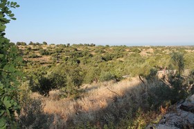 Tenuta Zannafondo