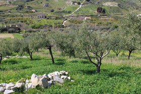 La Corte Di Sofia