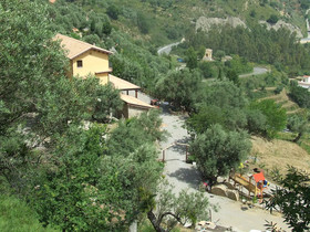 L'uliveto