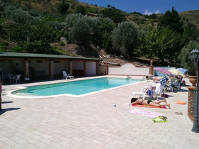 L'uliveto