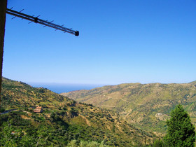 L'uliveto