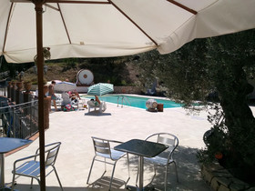 L'uliveto