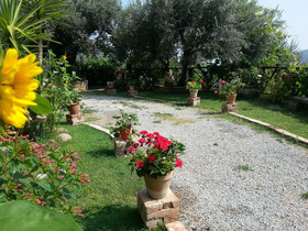 L'uliveto