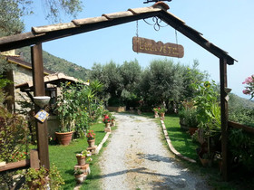 L'uliveto