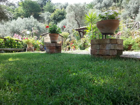 L'uliveto