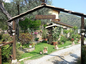 L'uliveto