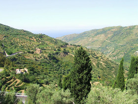 L'uliveto