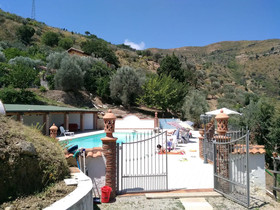 L'uliveto