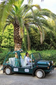 Donna Carmela Resort & Lodges