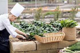 Donna Carmela Resort & Lodges