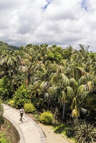 Donna Carmela Resort & Lodges