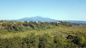 Donna Carmela Resort & Lodges