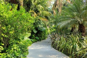Donna Carmela Resort & Lodges