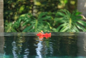 Donna Carmela Resort & Lodges
