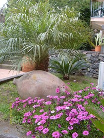 Agriturismo Il Ciliegio dell' Etna