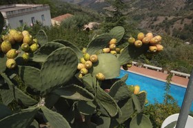 I Casali di Margello
