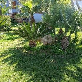 Villa Francesco Bed & Breakfast