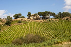 Feudo del Biviere