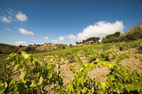 Feudo del Biviere