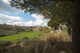 Feudo del Biviere
