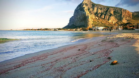 Casale Degli Ulivi
