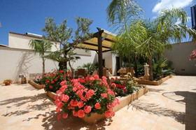 Hotel Amaryllis