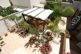 Hotel Amaryllis