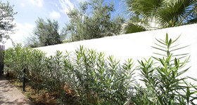 Resort Oasiparadis