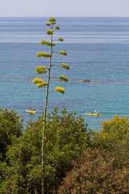 MClub Lipari