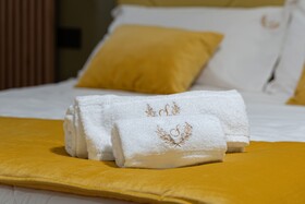 Sofi Center Rooms