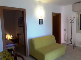 Alficodindia